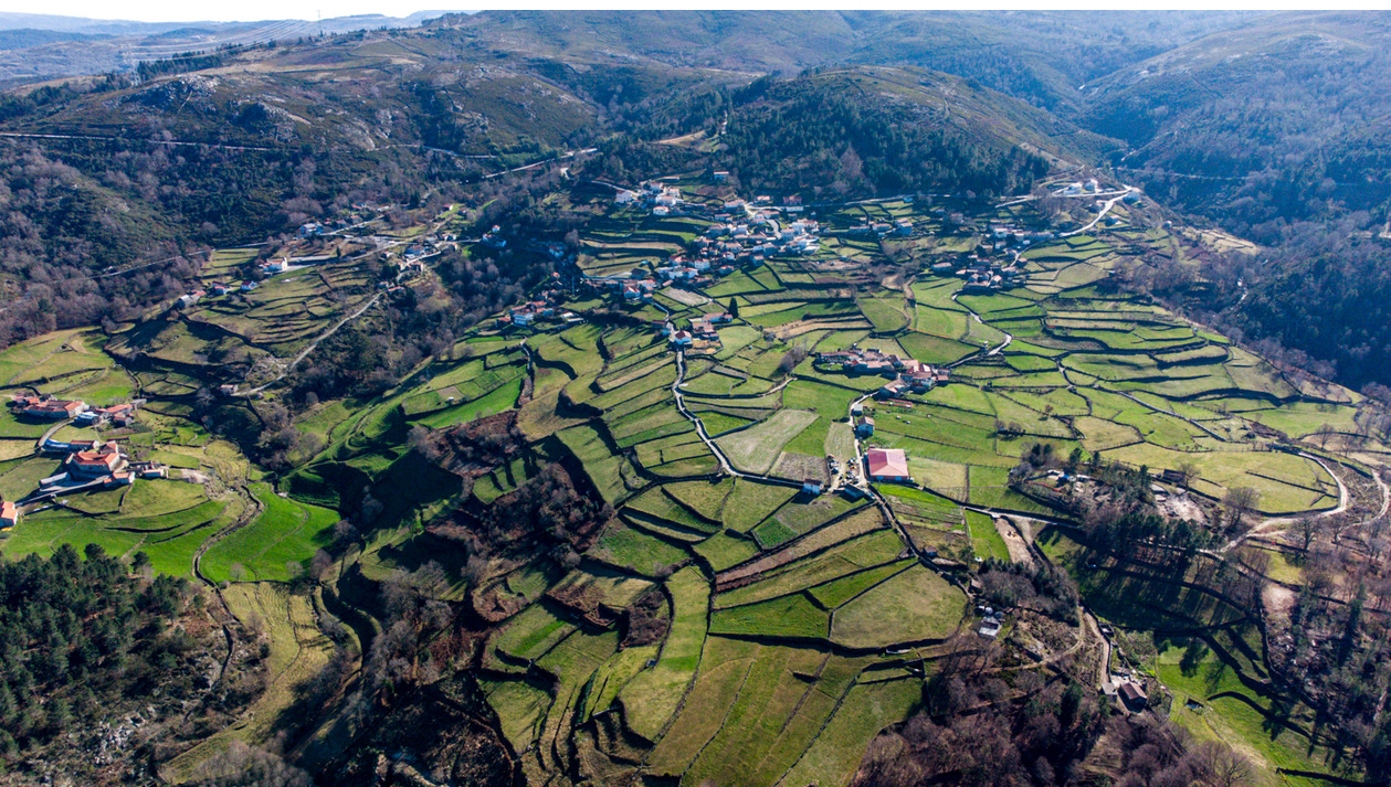Centro da aldeia e serviços